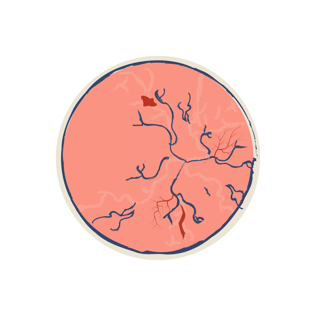 Centered Image
